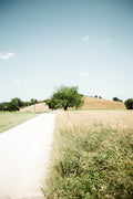 Under the Tuscan Sky