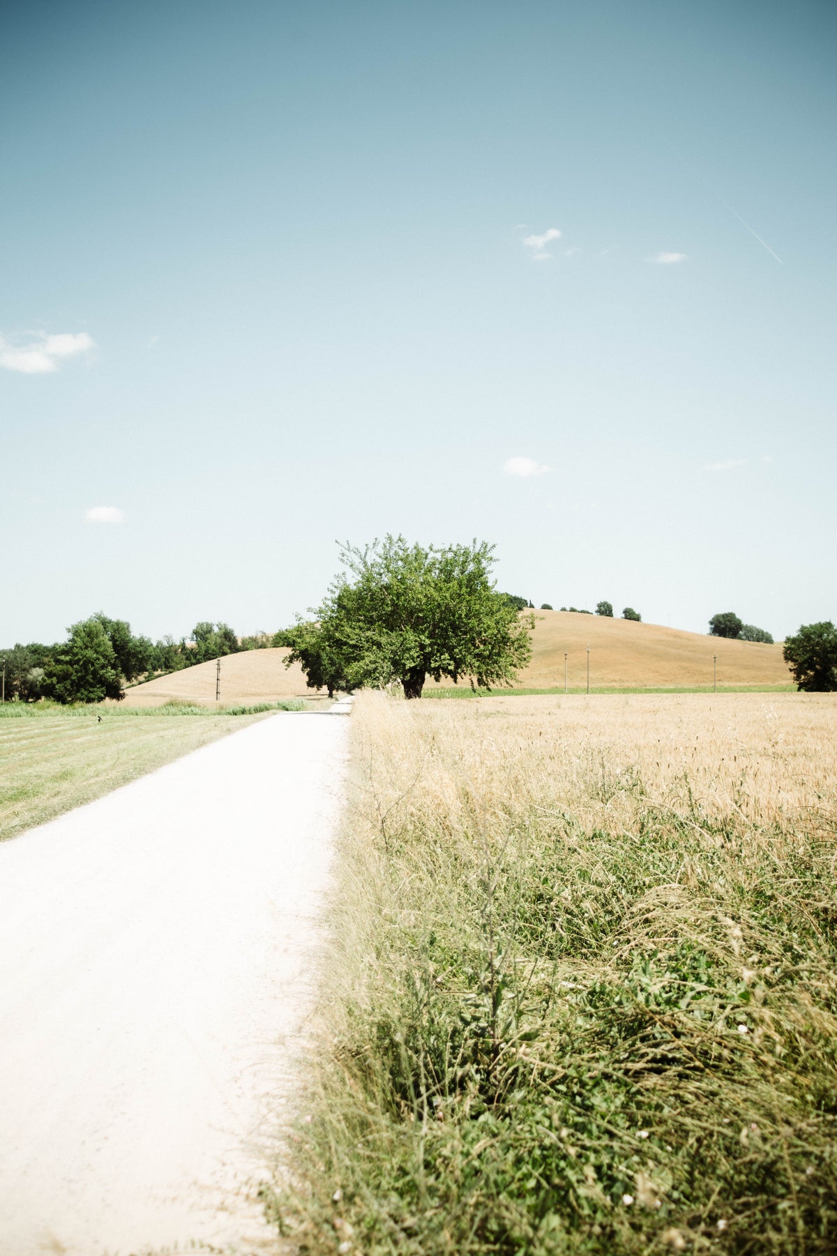 Under the Tuscan Sky